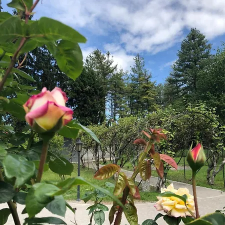 בית הארחה Bonelli Bed & Fest