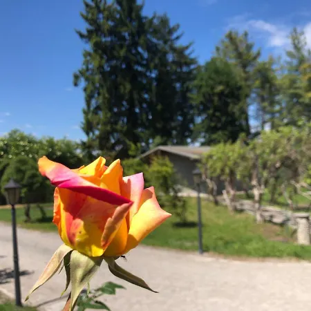 Bonelli Bed & Fest Pensionat Savigliano