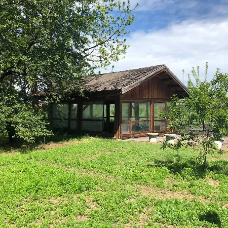 Bonelli Bed & Fest Guest house
