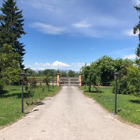 Bonelli Bed & Fest Guest house