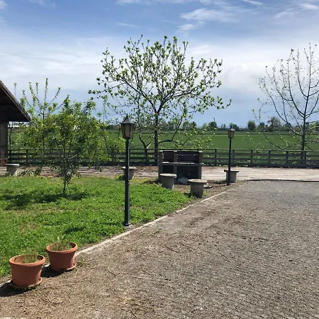 Bonelli Bed & Fest Guest house