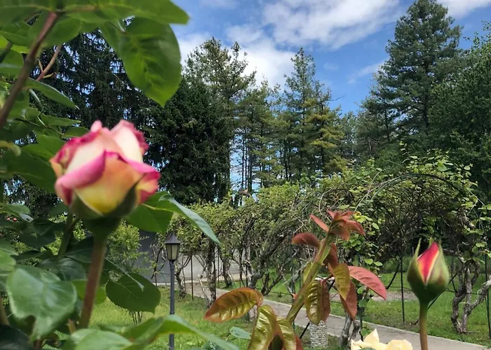 Penzion Bonelli Bed & Fest