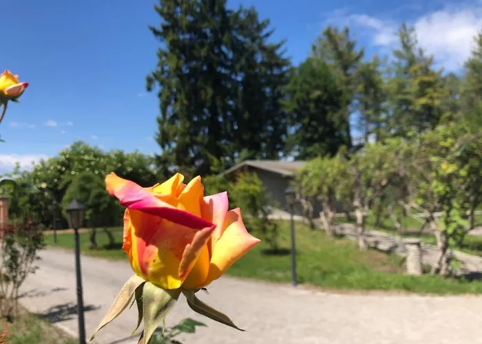 Bonelli Bed & Fest Penzion Savigliano